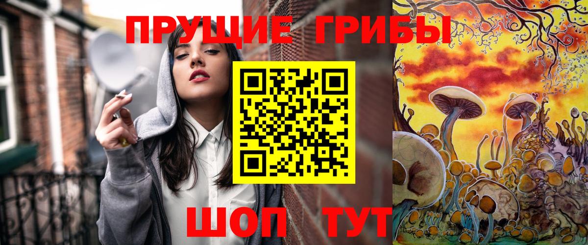 Каменск-Уральский  Галлюциногенные грибы прущие грибы  Вход с VPN 