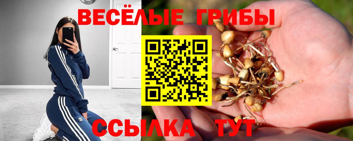 Псилоцибиновые грибы Magic Shrooms Каменск-Уральский
